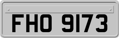 FHO9173