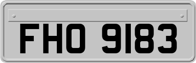 FHO9183