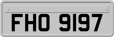 FHO9197