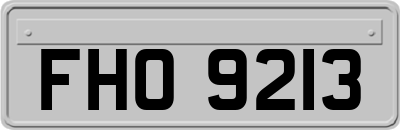FHO9213
