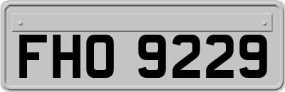 FHO9229