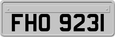 FHO9231