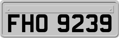 FHO9239