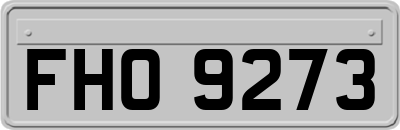FHO9273