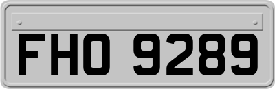 FHO9289