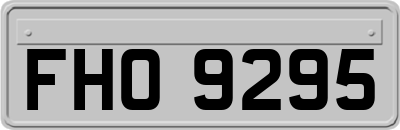 FHO9295