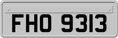 FHO9313