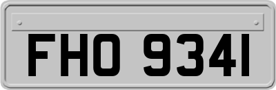 FHO9341