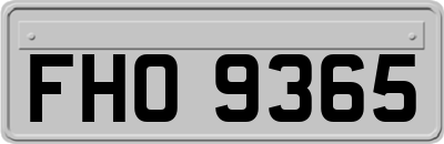 FHO9365