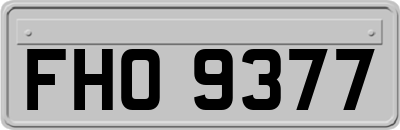 FHO9377