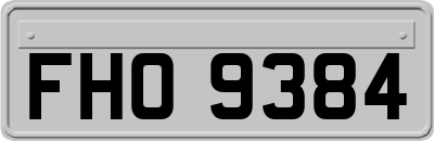 FHO9384