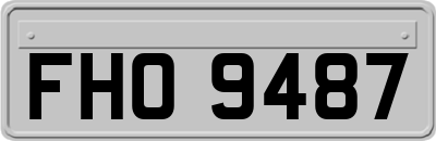 FHO9487