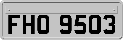 FHO9503