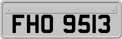 FHO9513