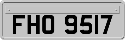 FHO9517
