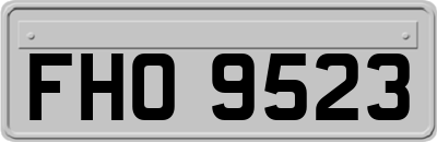 FHO9523