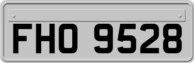 FHO9528