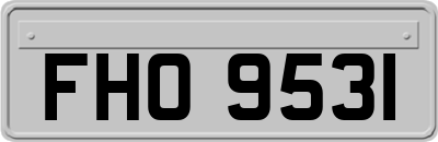 FHO9531