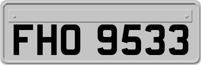 FHO9533