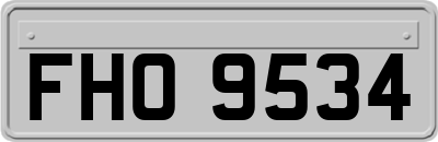 FHO9534
