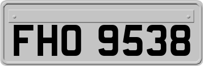 FHO9538