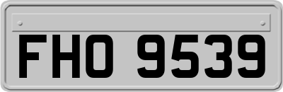 FHO9539