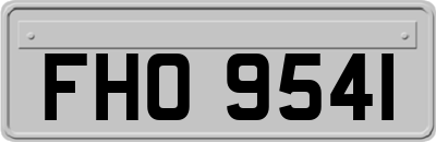 FHO9541