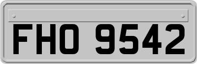 FHO9542