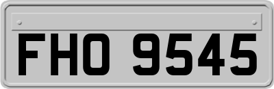 FHO9545