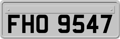 FHO9547