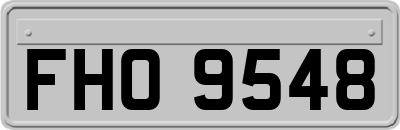 FHO9548