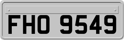 FHO9549