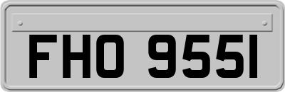 FHO9551