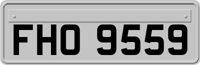FHO9559