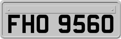 FHO9560