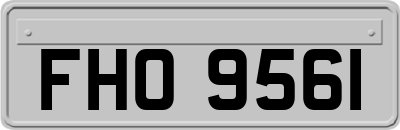 FHO9561