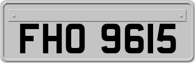 FHO9615