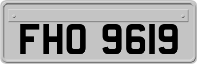 FHO9619