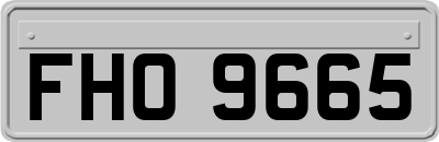FHO9665