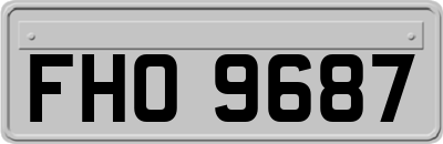 FHO9687