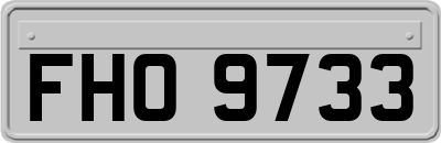 FHO9733