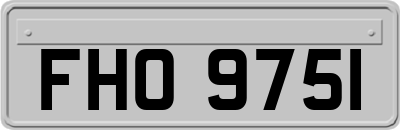 FHO9751