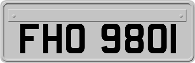 FHO9801