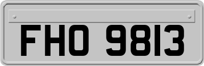 FHO9813