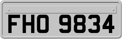 FHO9834