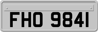 FHO9841