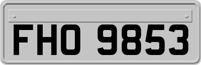 FHO9853