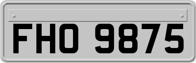 FHO9875