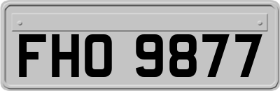FHO9877