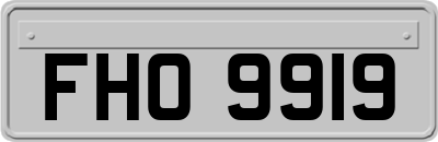 FHO9919